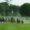 Racing at Gowran Park in 2009